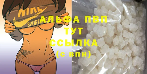 стаф Богородск