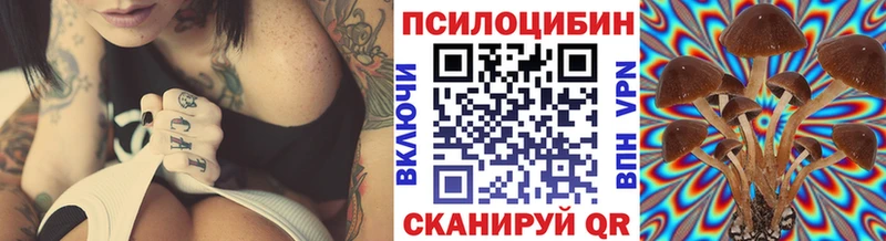 mega сайт  Ярославль  Галлюциногенные грибы прущие грибы 